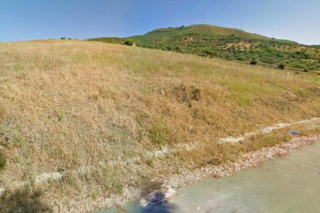 #21270 Appezzamento di terreno di 4319 mq in vendita - foto 2