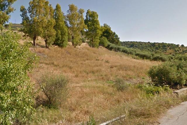 #21270 Appezzamento di terreno di 4319 mq in vendita - foto 5