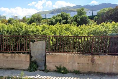 Agricoli in vendita