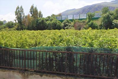 Agricoli in vendita