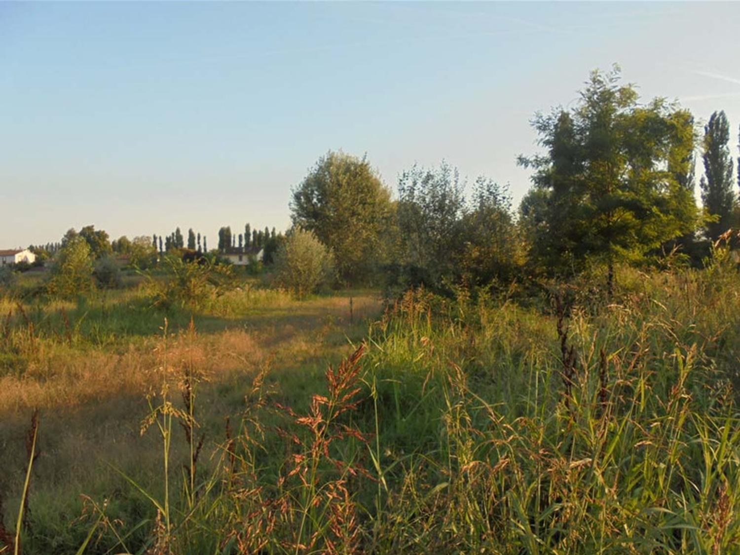 #21345 Terreni edificabili residenziali di 3.656 mq - Via Bolina in vendita - foto 4