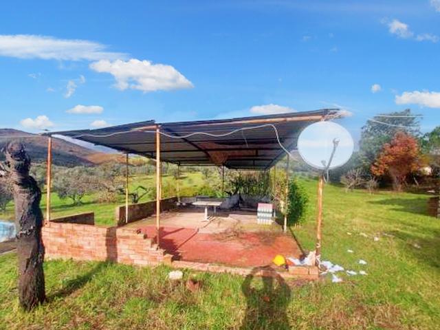 #21366 Azienda agricola con uliveti di c.a 10 ha in vendita - foto 8