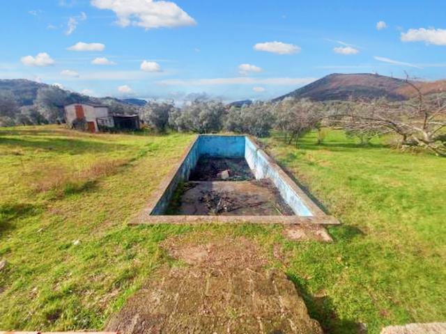 #21366 Azienda agricola con uliveti di c.a 10 ha in vendita - foto 10