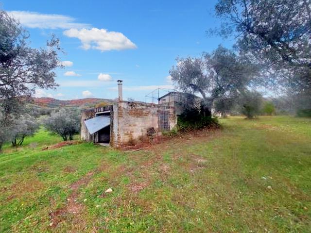 Agricoli in vendita