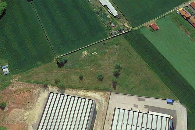 #21431 Terreno agricolo di 9641 mq in vendita - foto 2
