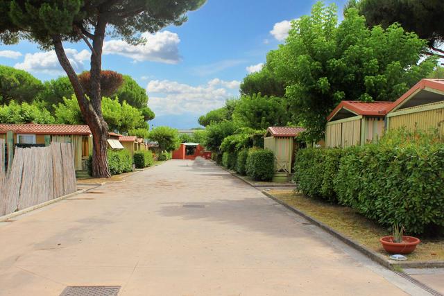 #21505 Cessione aziendale di campeggio in vendita - foto 7
