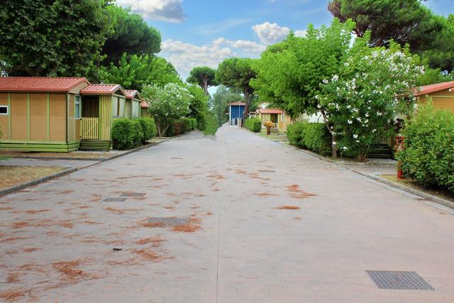 #21505 Cessione aziendale di campeggio in vendita - foto 10