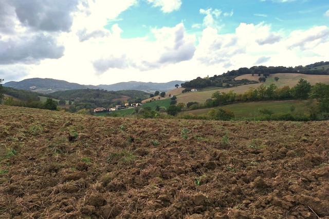 #21538 Appezzamento con ex cava di argilla in vendita - foto 2