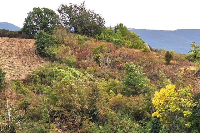 #21538 Appezzamento con ex cava di argilla in vendita - foto 6