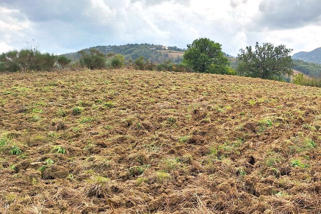 #21538 Appezzamento con ex cava di argilla in vendita - foto 7