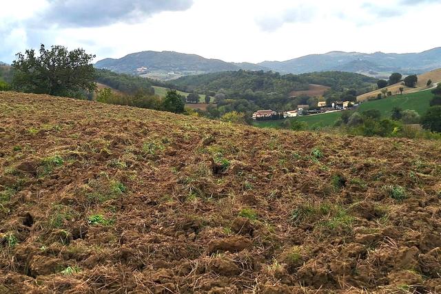 #21538 Appezzamento con ex cava di argilla in vendita - foto 9