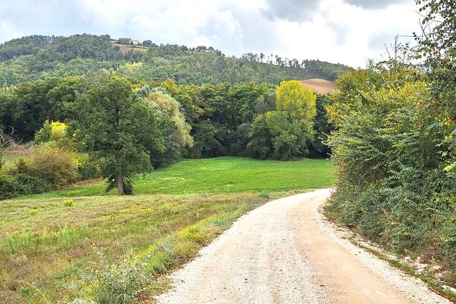 #21538 Appezzamento con ex cava di argilla in vendita - foto 10