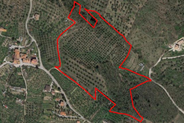#21548 Terreno agricolo di 45.890 mq in vendita - foto 1