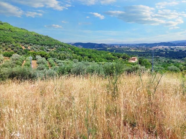 #21548 Terreno agricolo di 45.890 mq in vendita - foto 4
