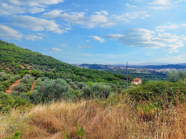 #21548 Terreno agricolo di 45.890 mq in vendita - foto 11