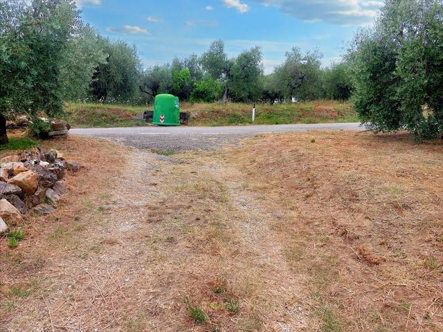 #21548 Terreno agricolo di 45.890 mq in vendita - foto 14