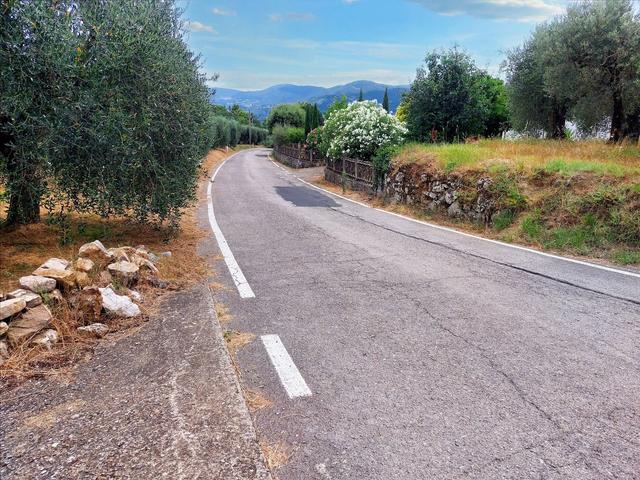 #21548 Terreno agricolo di 45.890 mq in vendita - foto 15