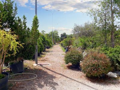 Agricoli in vendita