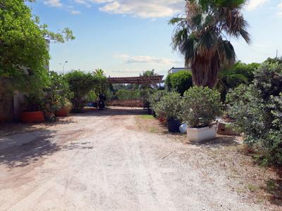 Agricoli in vendita