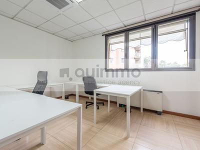 Grandi dimensioni in vendita