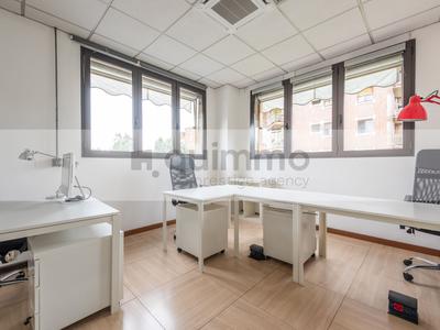 Grandi dimensioni in vendita