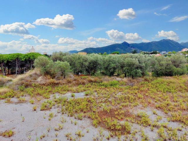 #21686 Terreno edificabile ricettivo di 11.000 mq in vendita - foto 4