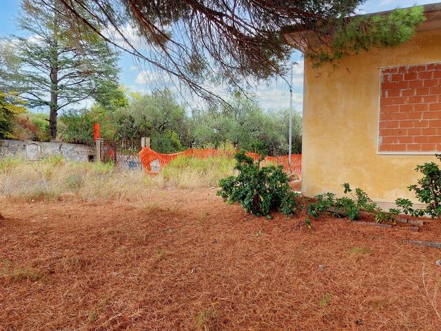 #21686 Terreno edificabile ricettivo di 11.000 mq in vendita - foto 11