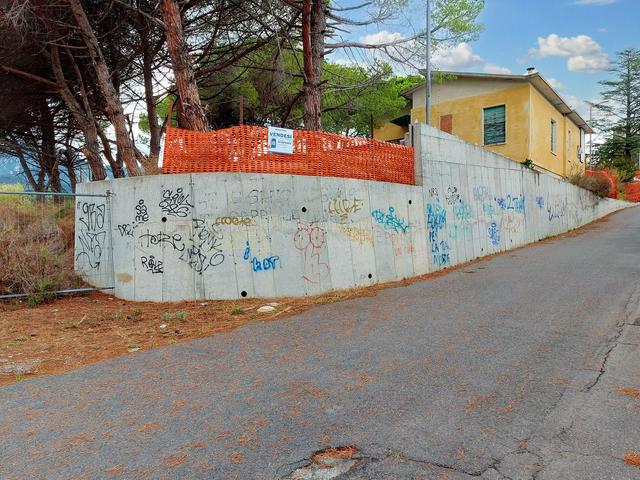 #21686 Terreno edificabile ricettivo di 11.000 mq in vendita - foto 16