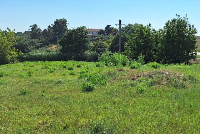 #21688 Area edificabile residenziale di 3262 mq in vendita - foto 5
