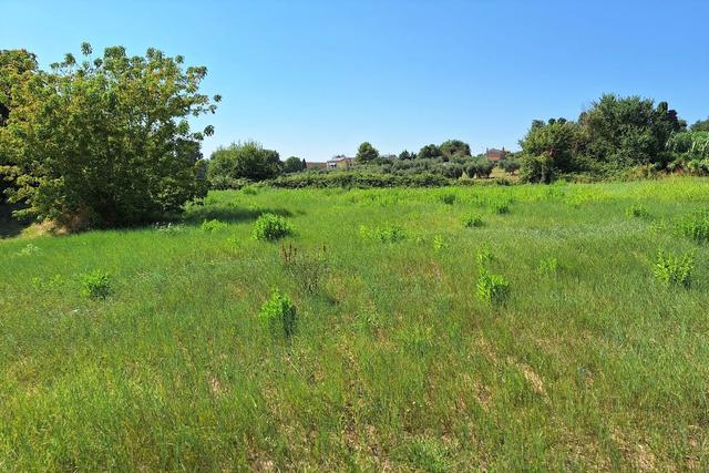 #21688 Area edificabile residenziale di 3262 mq in vendita - foto 7