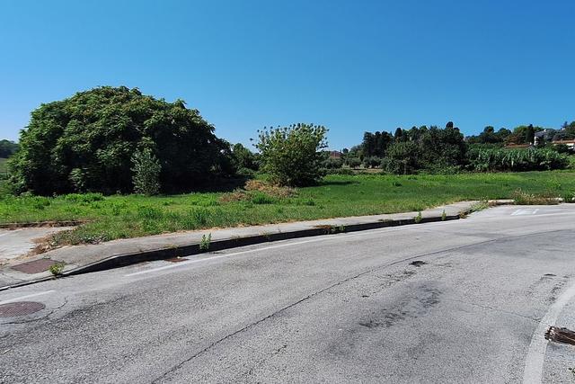 #21688 Area edificabile residenziale di 3262 mq in vendita - foto 9