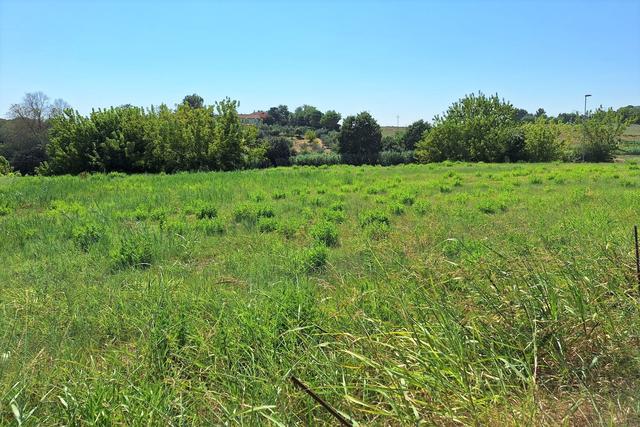#21689 Area edificabile residenziale di 1761 mq in vendita - foto 1
