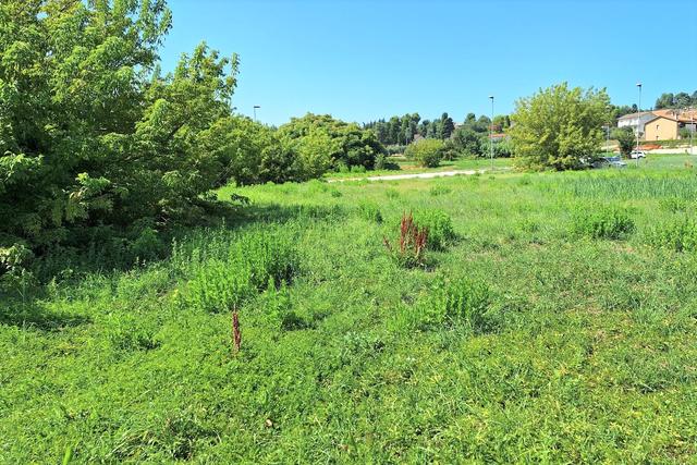 #21689 Area edificabile residenziale di 1761 mq in vendita - foto 4