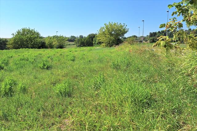 #21689 Area edificabile residenziale di 1761 mq in vendita - foto 7