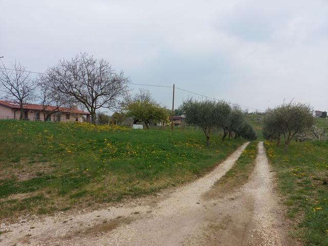 #21734 Terreni agricoli di 7.737 mq in vendita - foto 3