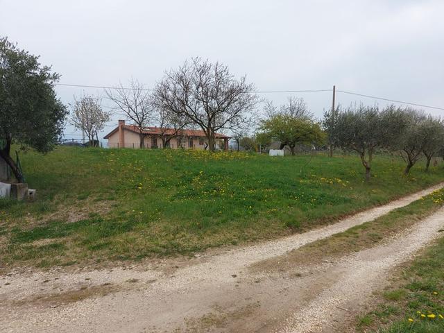 #21734 Terreni agricoli di 7.737 mq in vendita - foto 4