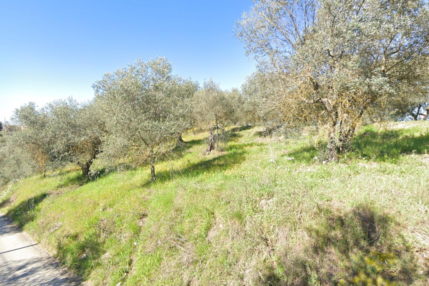 #21743 Predio rurale in vendita - foto 2