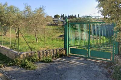 Agricoli in vendita