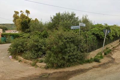 Agricoli in vendita