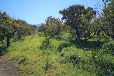 Agricoli in vendita