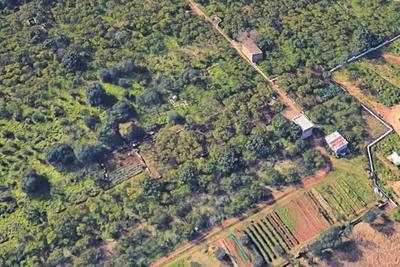 Agricoli in vendita