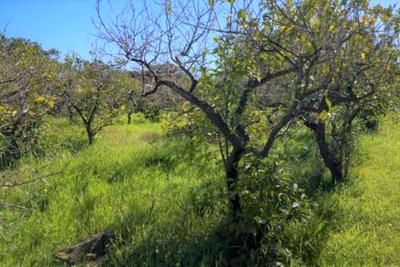 Agricoli in vendita