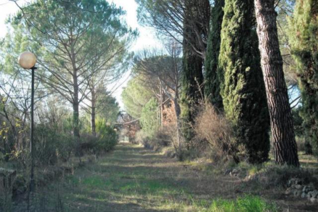 Ville in vendita