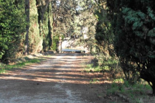 Ville in vendita