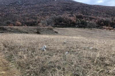 Agricoli in vendita
