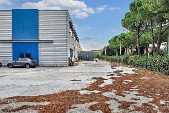 #21995 Opificio con impianto fotovoltaico e terreni edificabili in vendita - foto 2