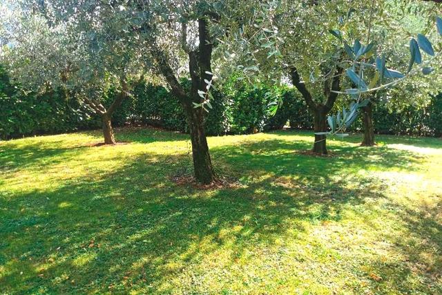 #22018 Area per giardino su sponde del Lago d’Iseo in vendita - foto 2