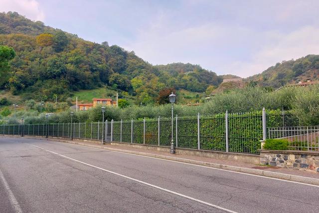 #22018 Area per giardino su sponde del Lago d’Iseo in vendita - foto 4