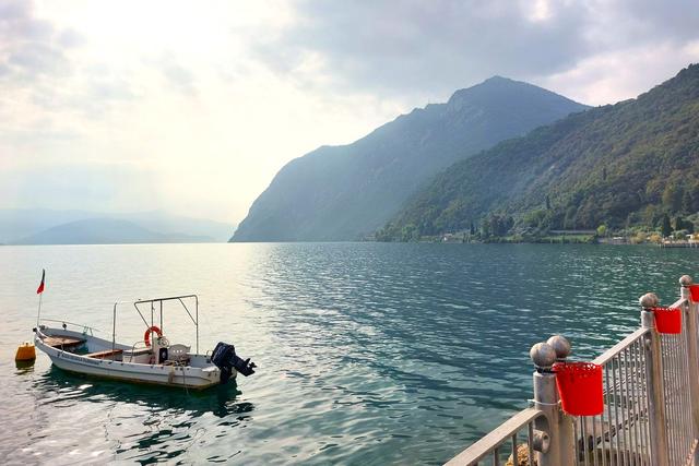 #22018 Area per giardino su sponde del Lago d’Iseo in vendita - foto 6