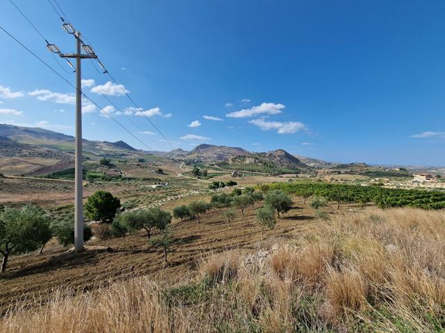 #22053 Terreno di 60 ettari per attività agricole o turistico ricettive in vendita - foto 7